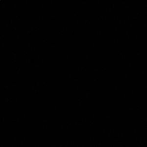 Meet your Posher, Theo